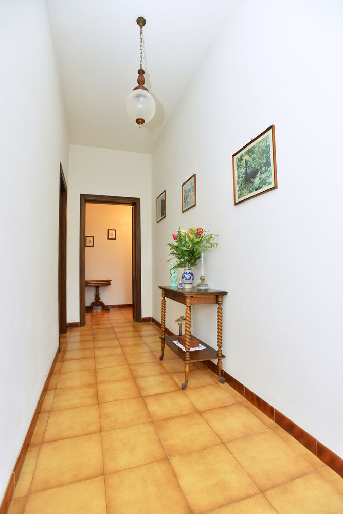Izzhome Cozy Sunflowers Pula Kültér fotó